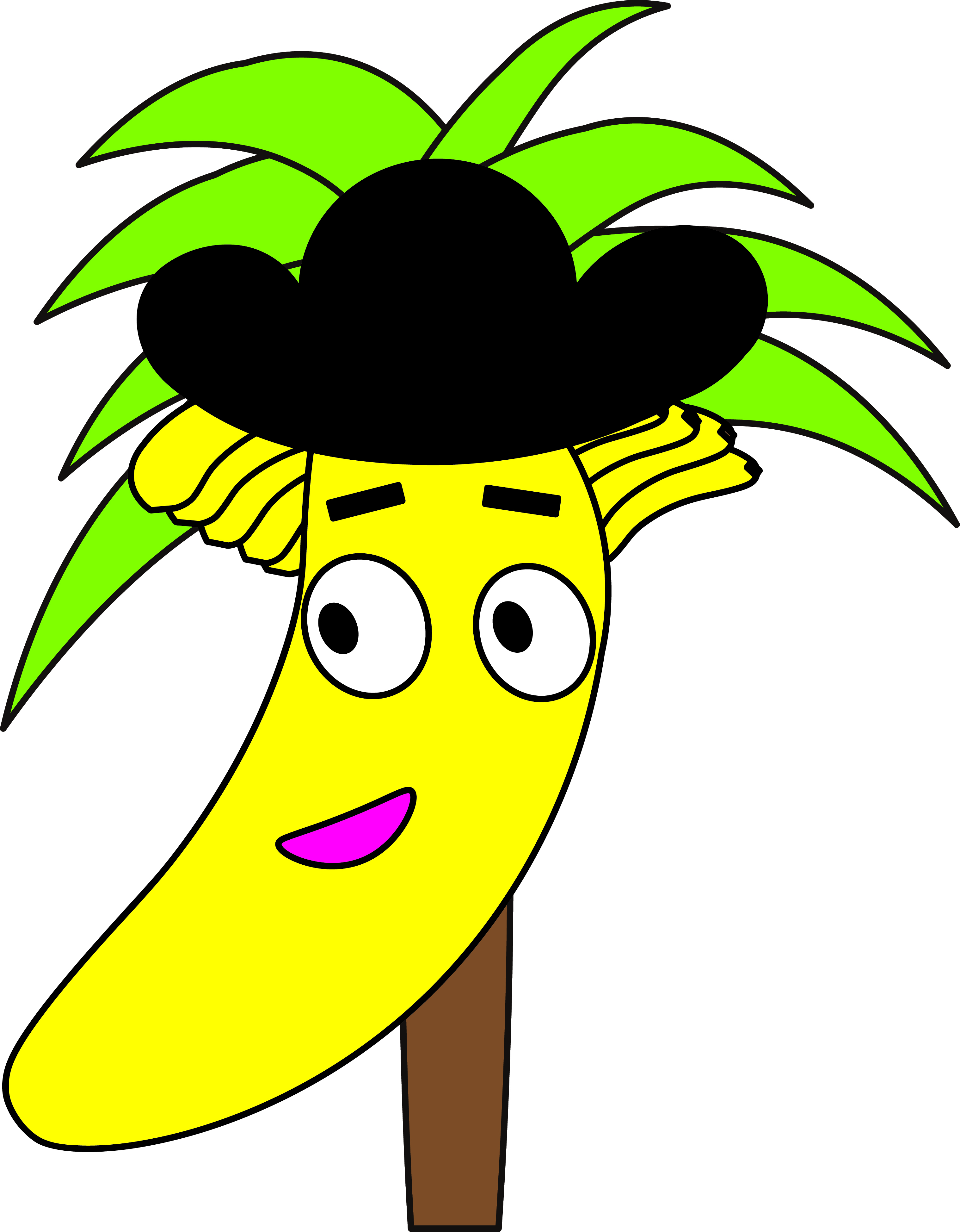 バナナの木画像