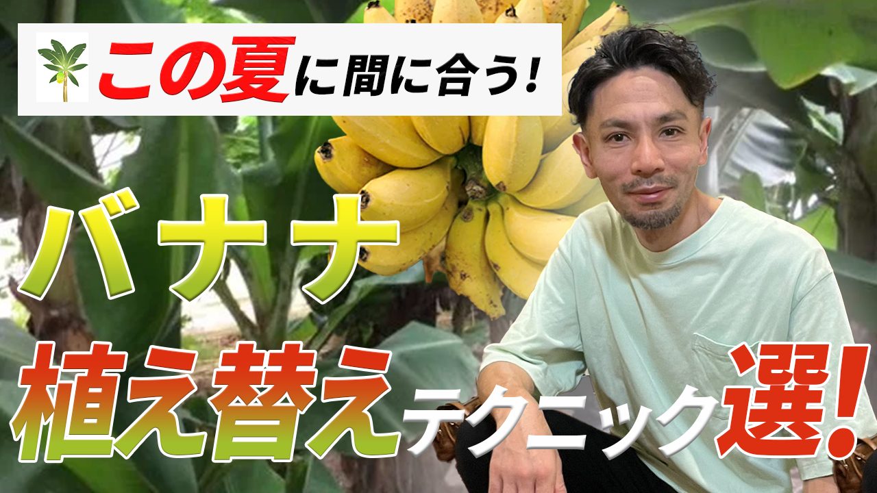 レンタカーおまとめサイトトップページ画像